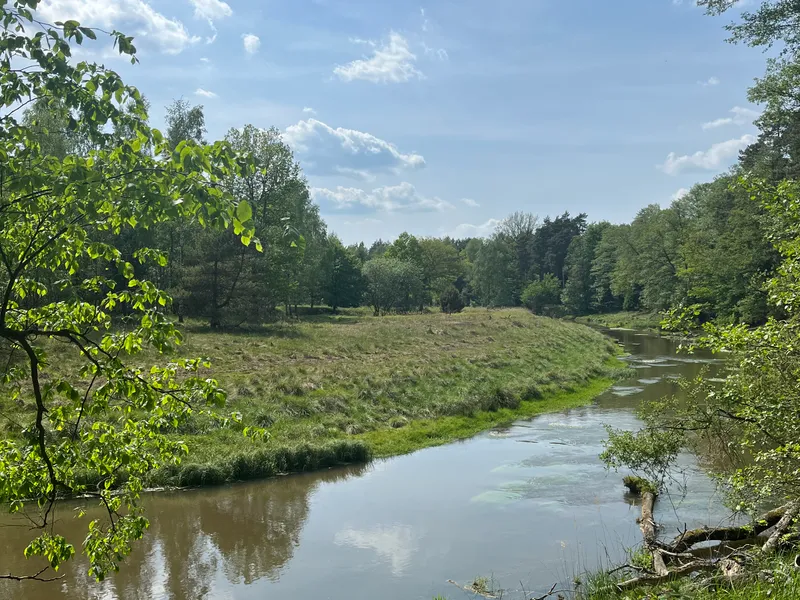 Kajaki i rzeka — Młyn Thiel
