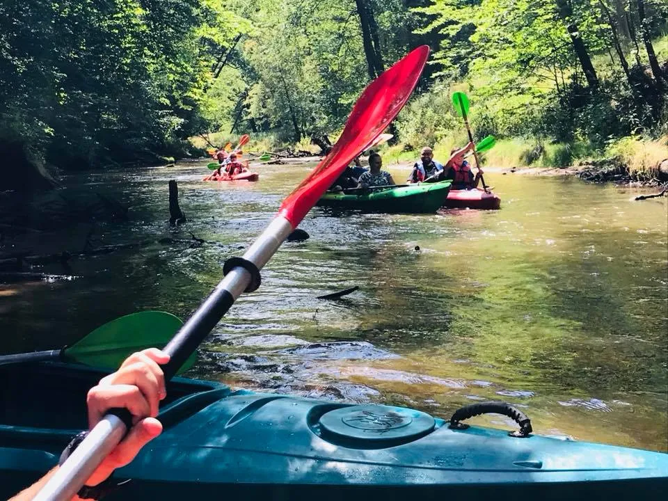 Spokojny spływ kajakowy w lesie — trasa Dzika Natura